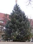 halberstadt.jpg